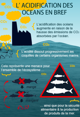 acidification ocean schema